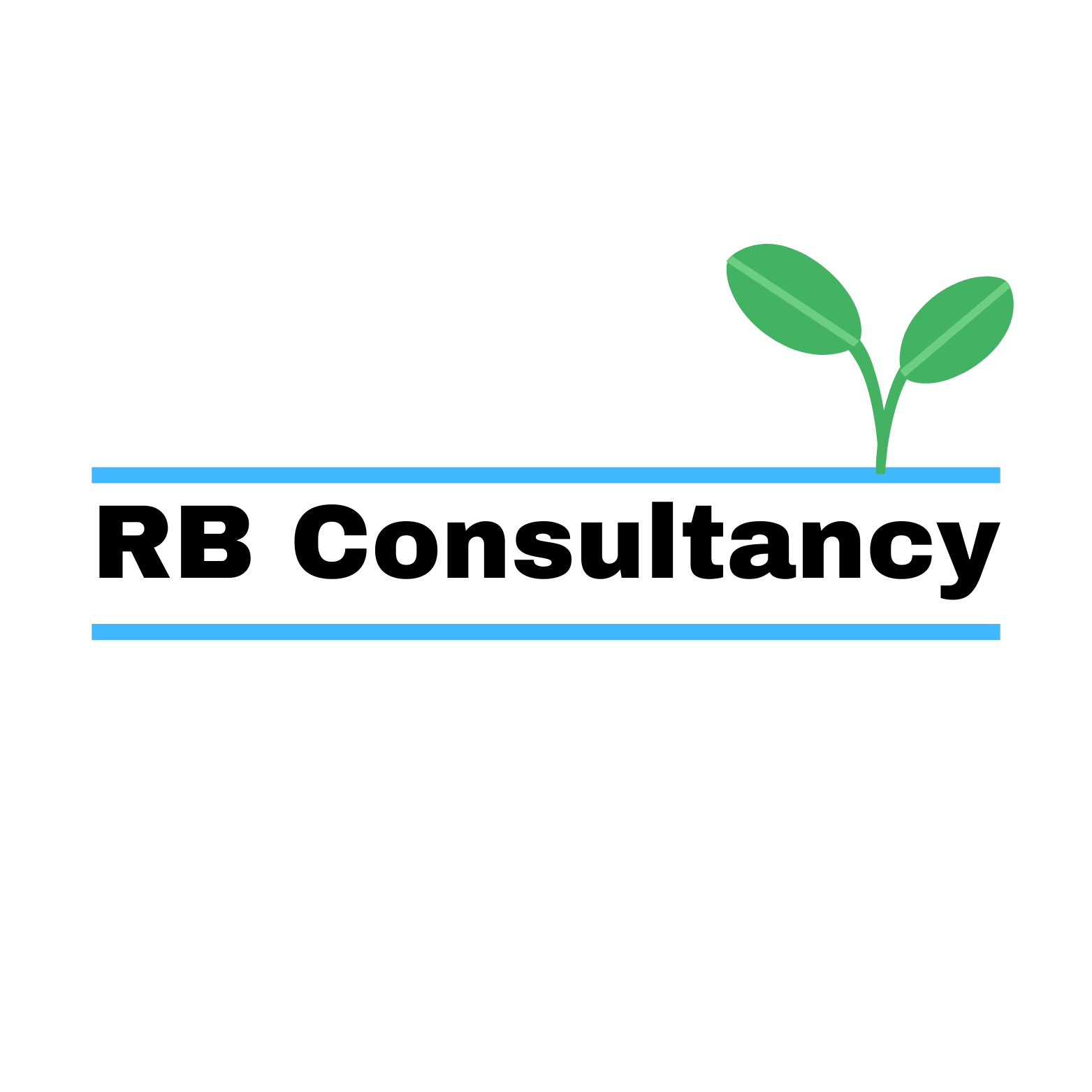 RB Consultancy logo